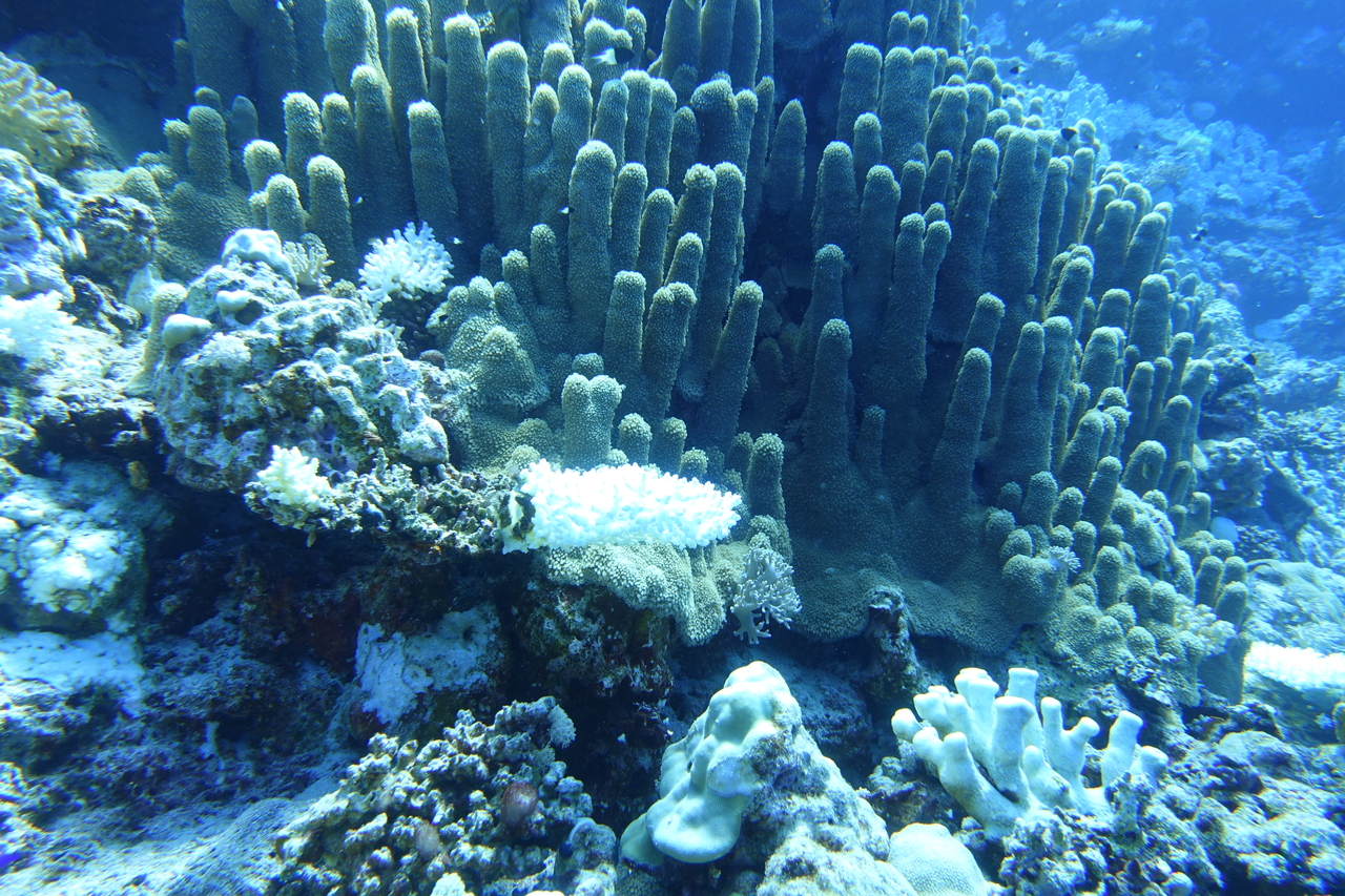 DSC00002.JPG