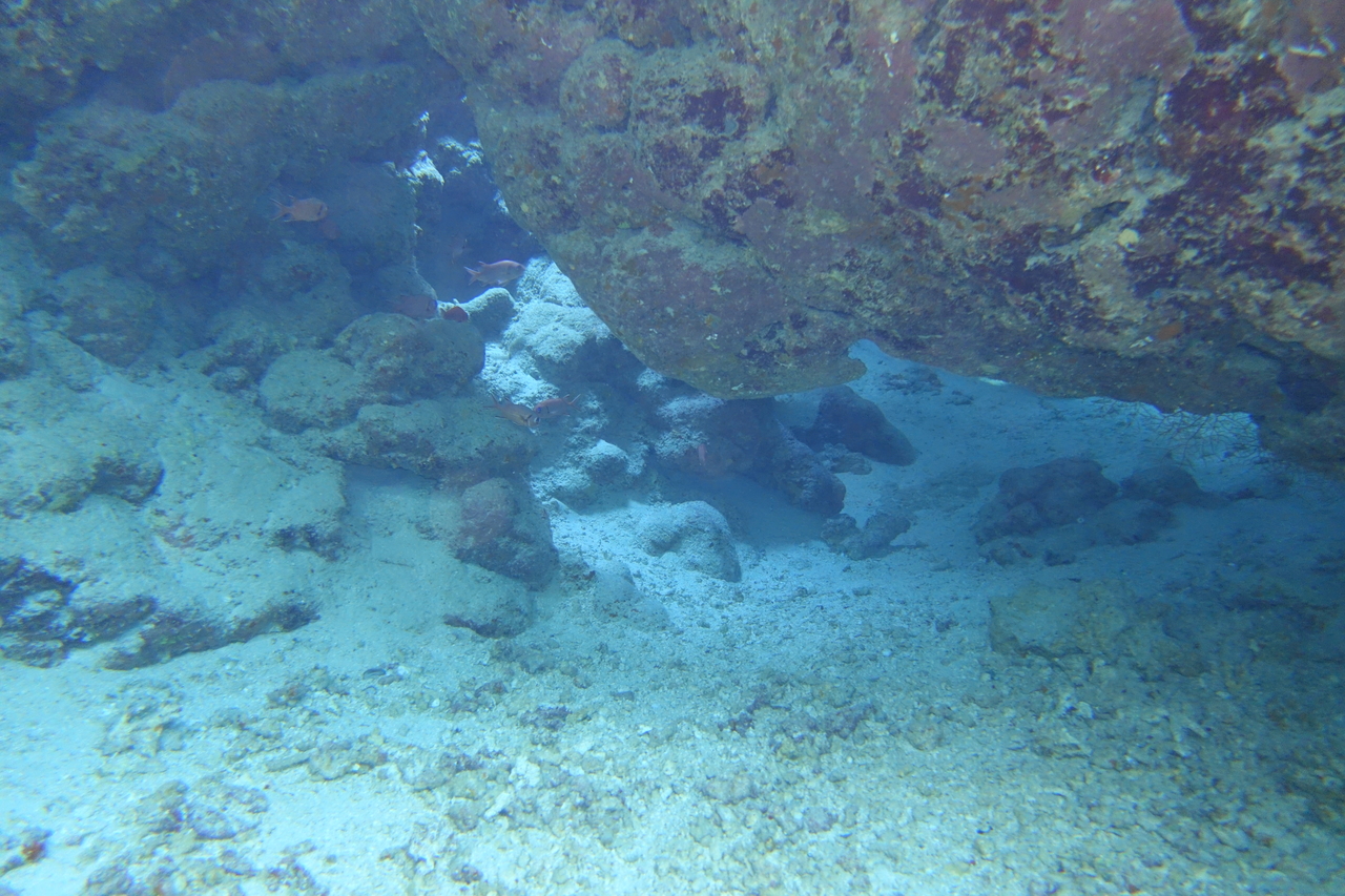 DSC00009.JPG