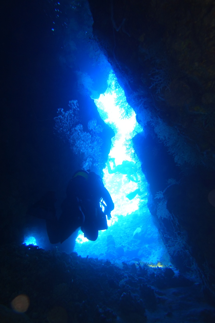 DSC00021.JPG