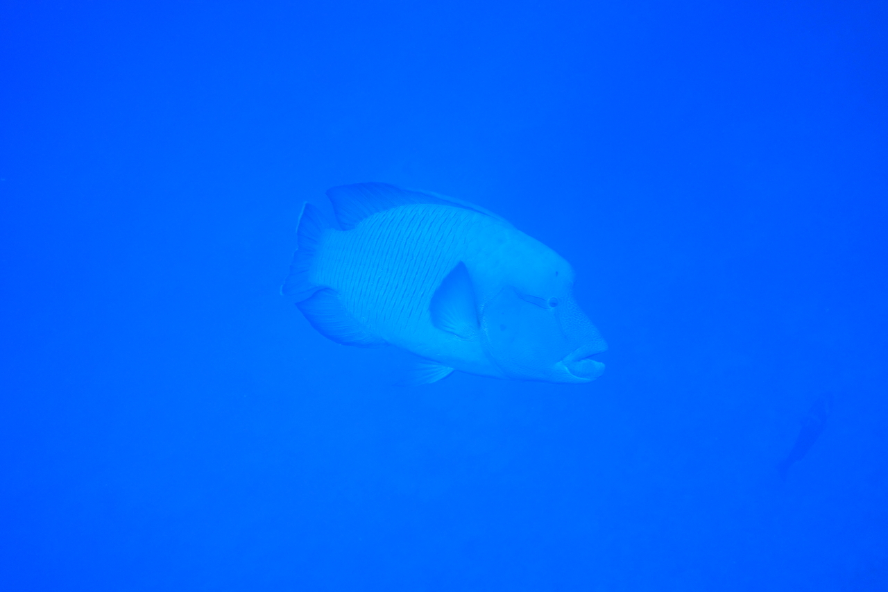 DSC00022.JPG