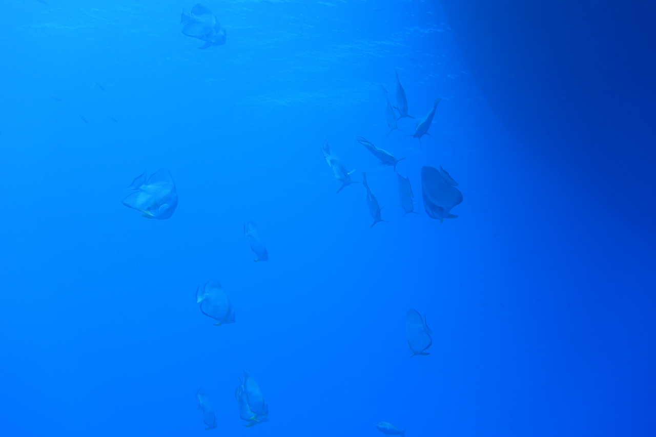 DSC00033.JPG