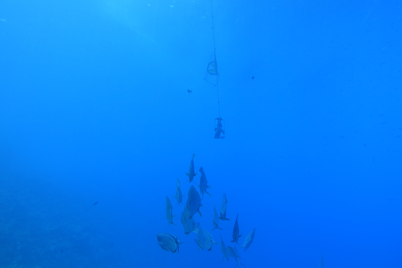 DSC00054.JPG