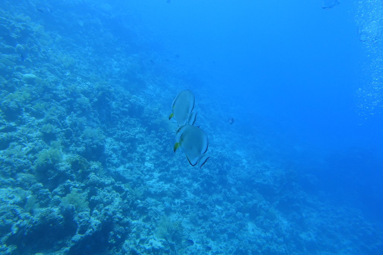 DSC00057.JPG