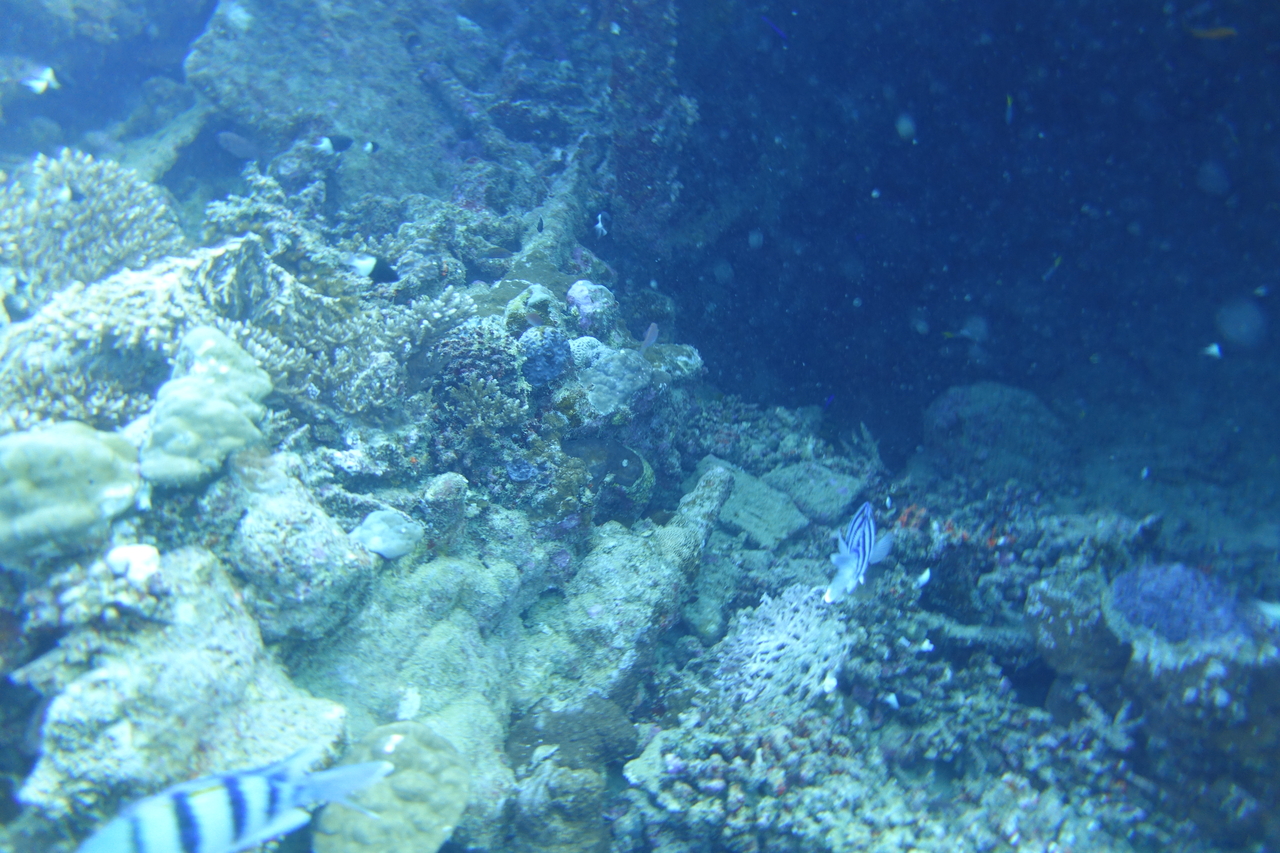 DSC00067.JPG
