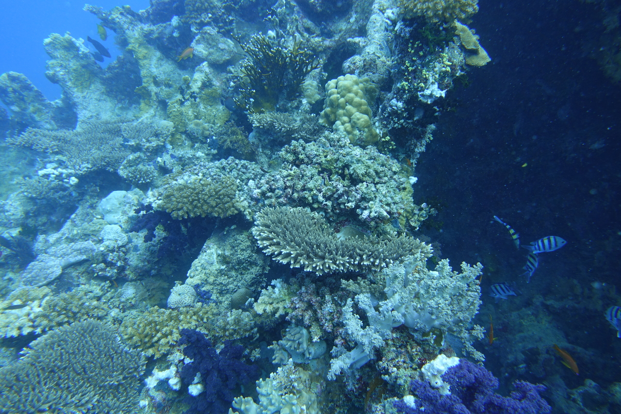 DSC00079.JPG