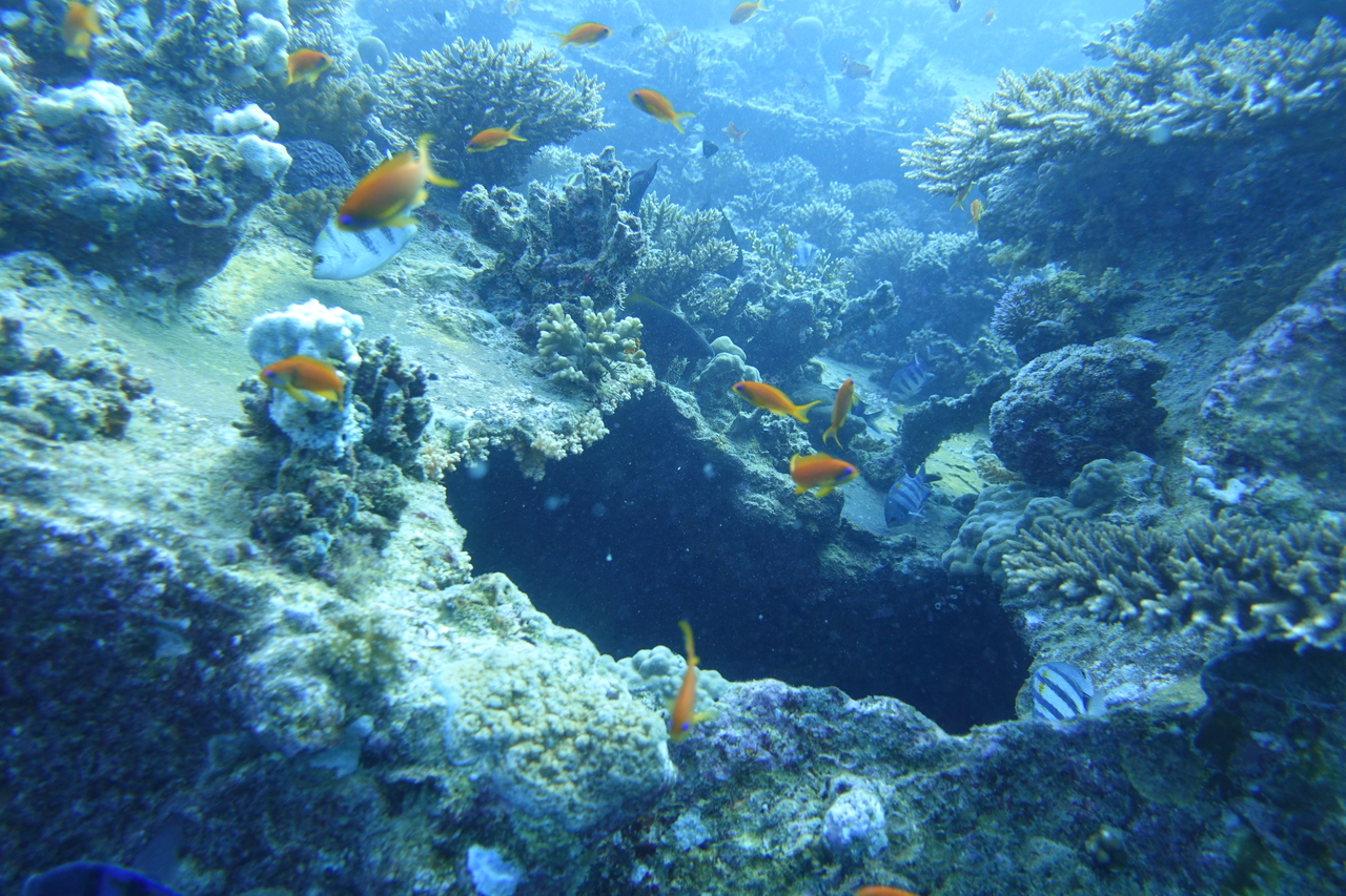 DSC00084.JPG