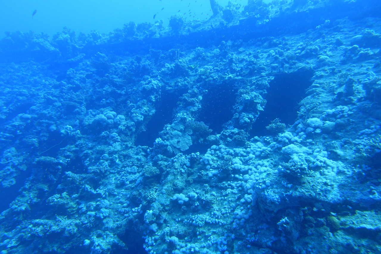 DSC00184.JPG