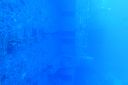 DSC00244.JPG