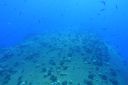 DSC00255.JPG