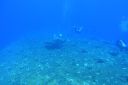 DSC00256.JPG