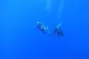 DSC00260.JPG