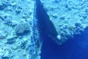 DSC00267.JPG